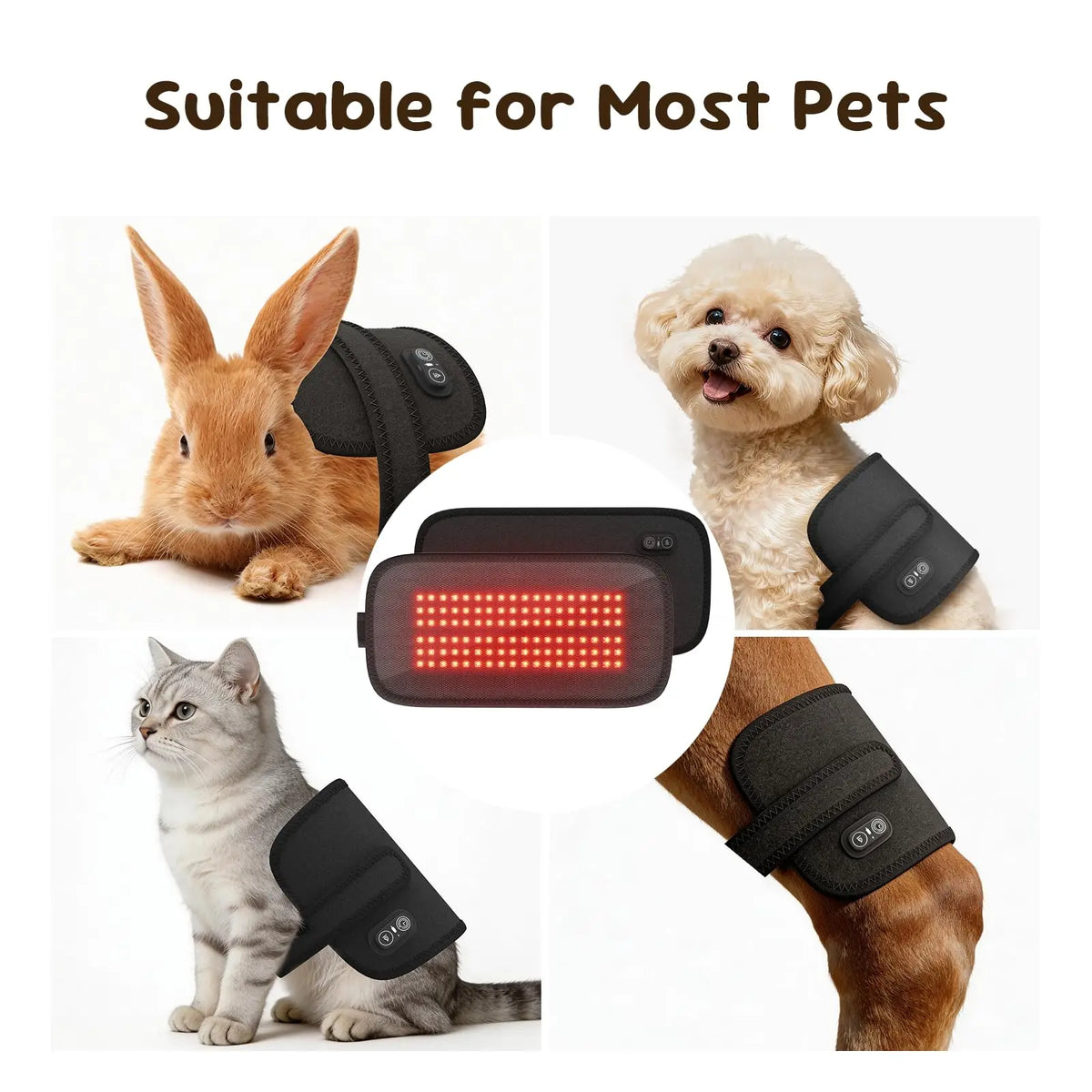 Premium Pet Red Light Therapy Belt For Joint Pain Relief