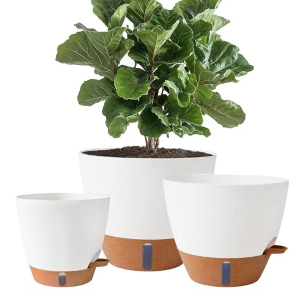 Self-Watering Porcelain Planters With Water Level Indicator for Plants