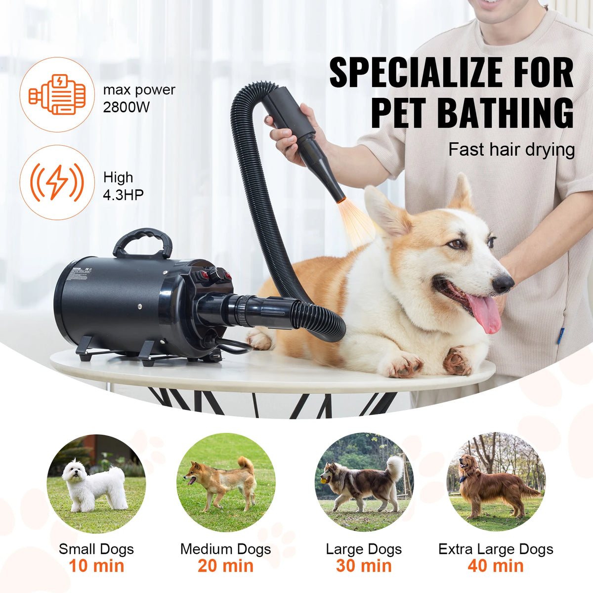 SucceBuy 2800W Pet Dog Dryer With Adjustable Settings And Attachments