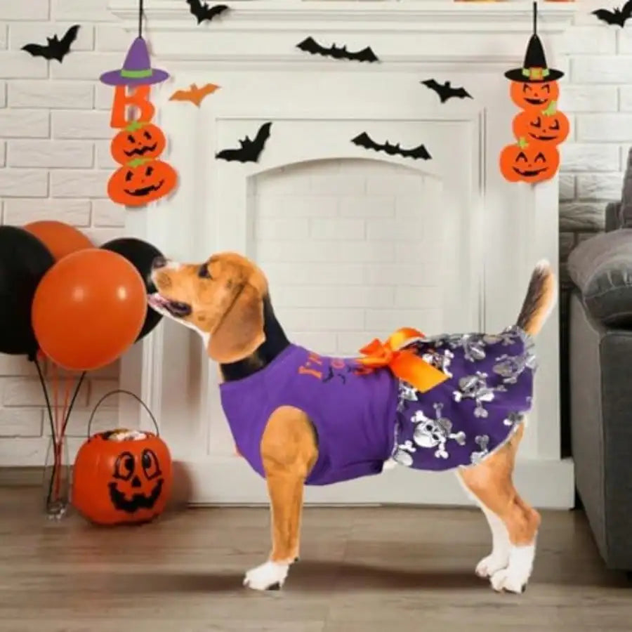 Funny Dog Halloween Witch Dress Costume With Bow For Pets