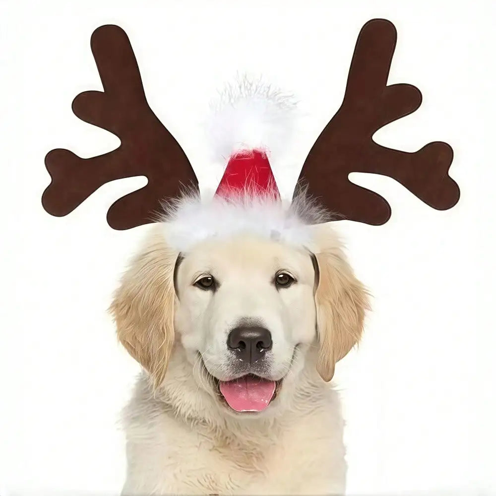 Halloween Ghost Pet Cape Costume Set With Reindeer Antlers Headband