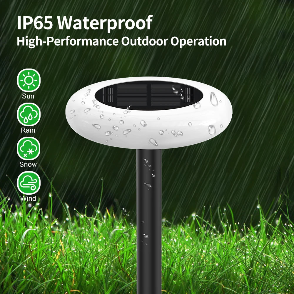 Intelamp Solar LED Pathway Lights for Outdoor Garden Walkways