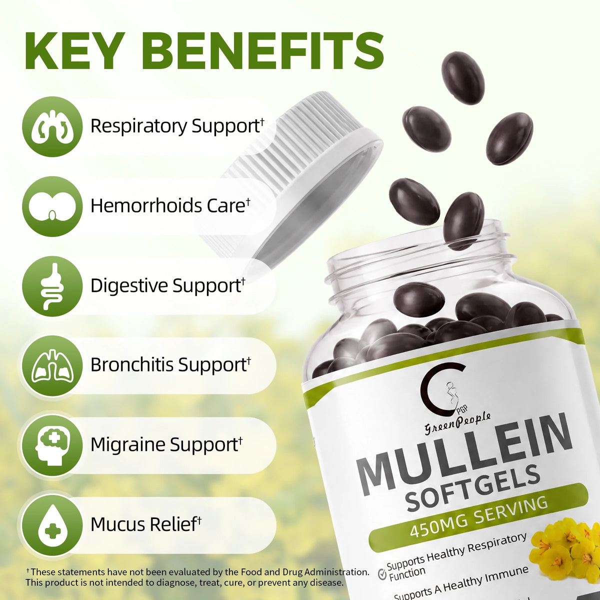 Minch Natural Mullein Leaf Capsules For Respiratory Health