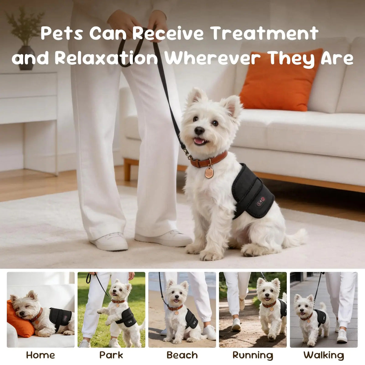 Premium Pet Red Light Therapy Belt For Joint Pain Relief