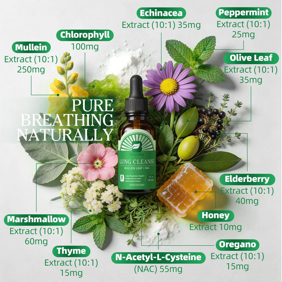 Beworths Mullein And Elderberry Drops For Respiratory Support