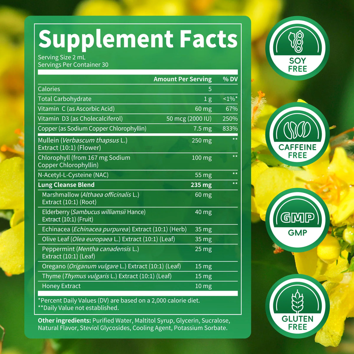 Beworths Mullein And Elderberry Drops For Respiratory Support
