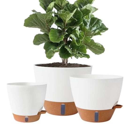 Self-Watering Porcelain Planters With Water Level Indicator for Plants
