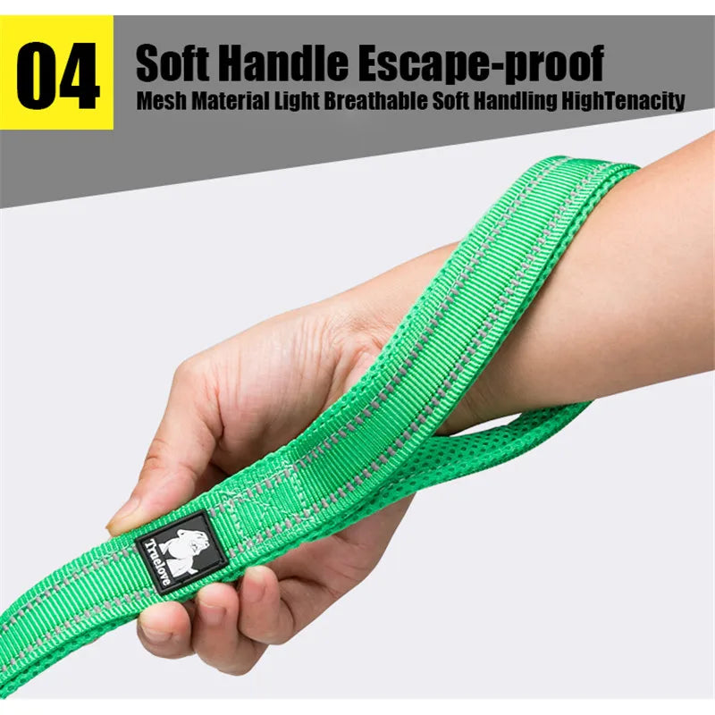 Truelove Reflective Nylon Padded Soft Pet Dog Leash