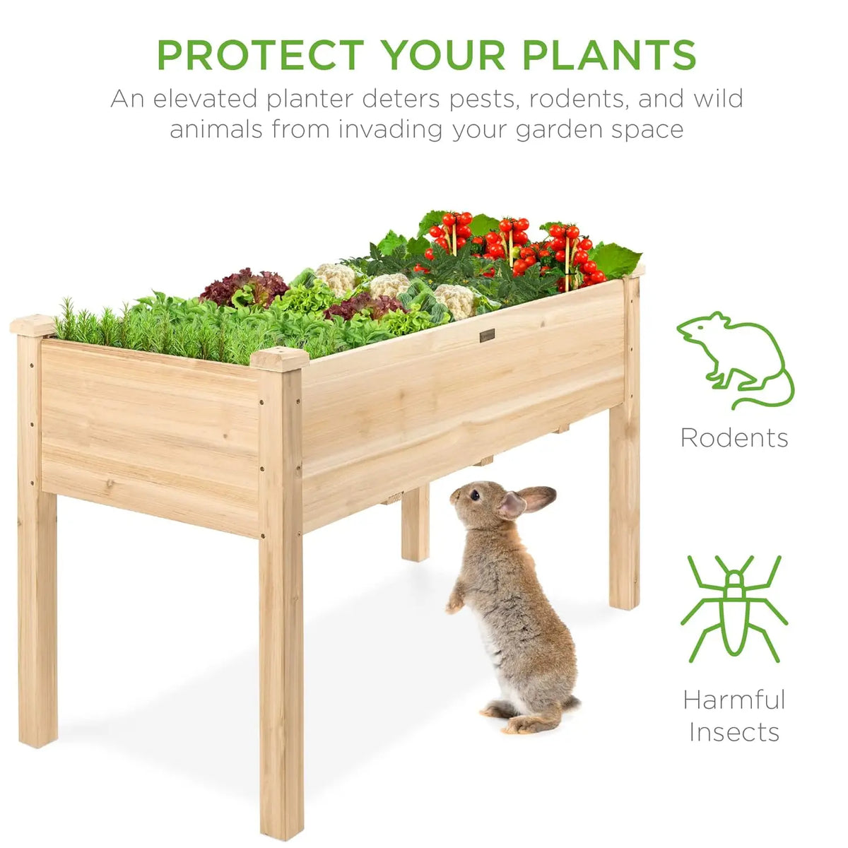 Elevated Fir Wood Planter Box With Drainage For Outdoors
