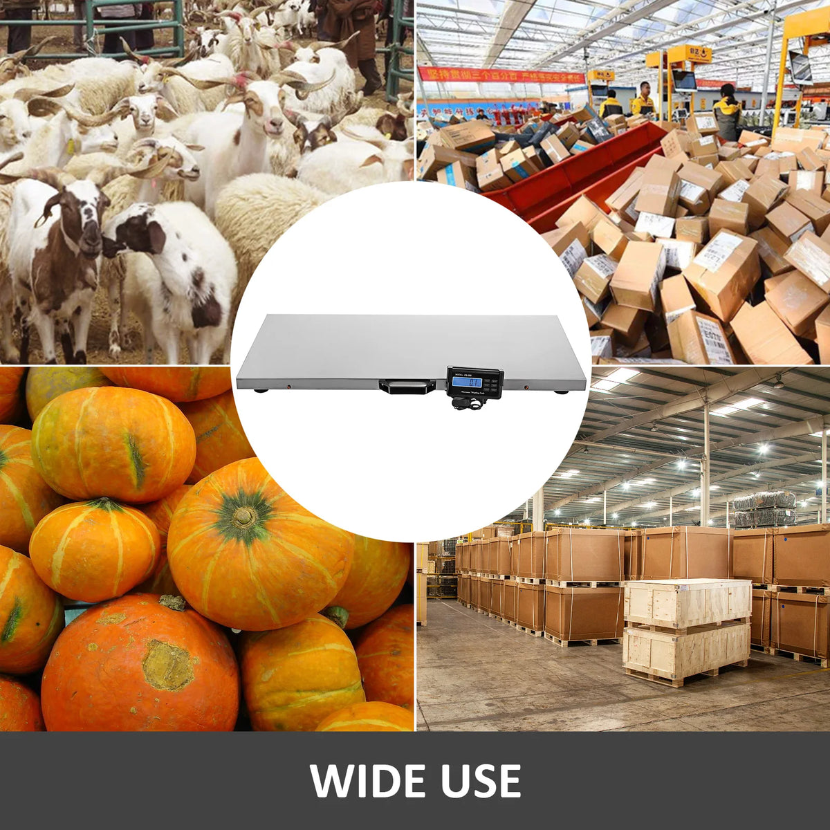 Digital Postal Shipping Scale With Stainless Steel Platform