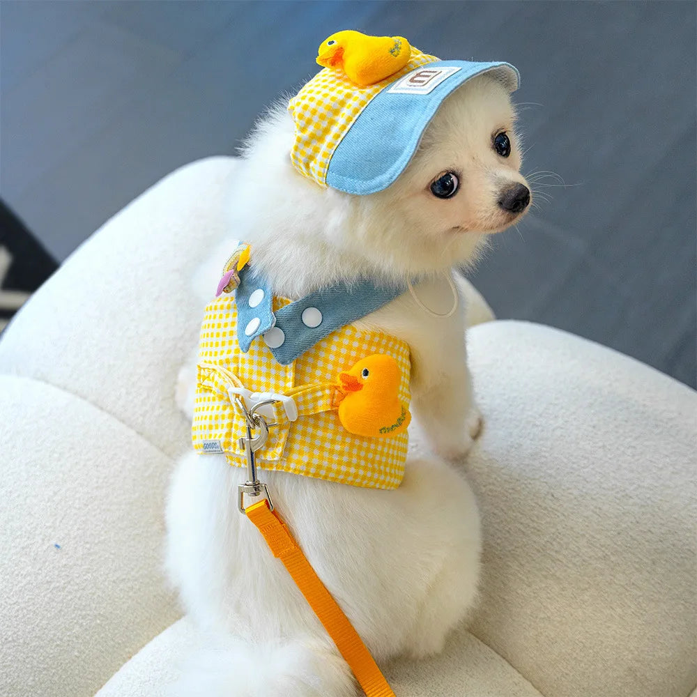 Breathable Pet Chest Harness And Traction Rope For Cats