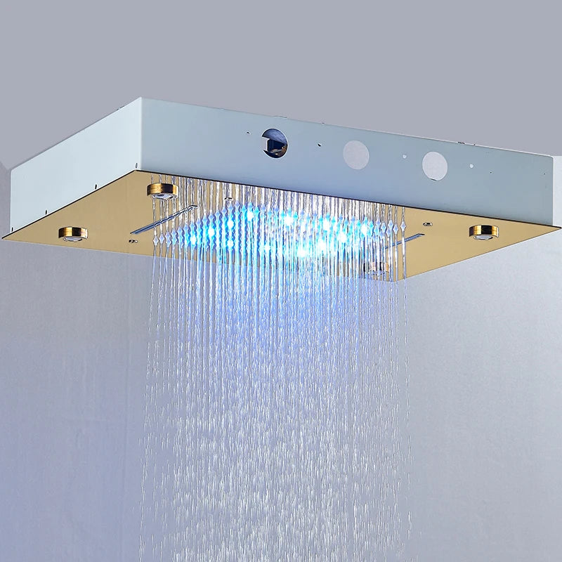 LED ceiling mounted shower head