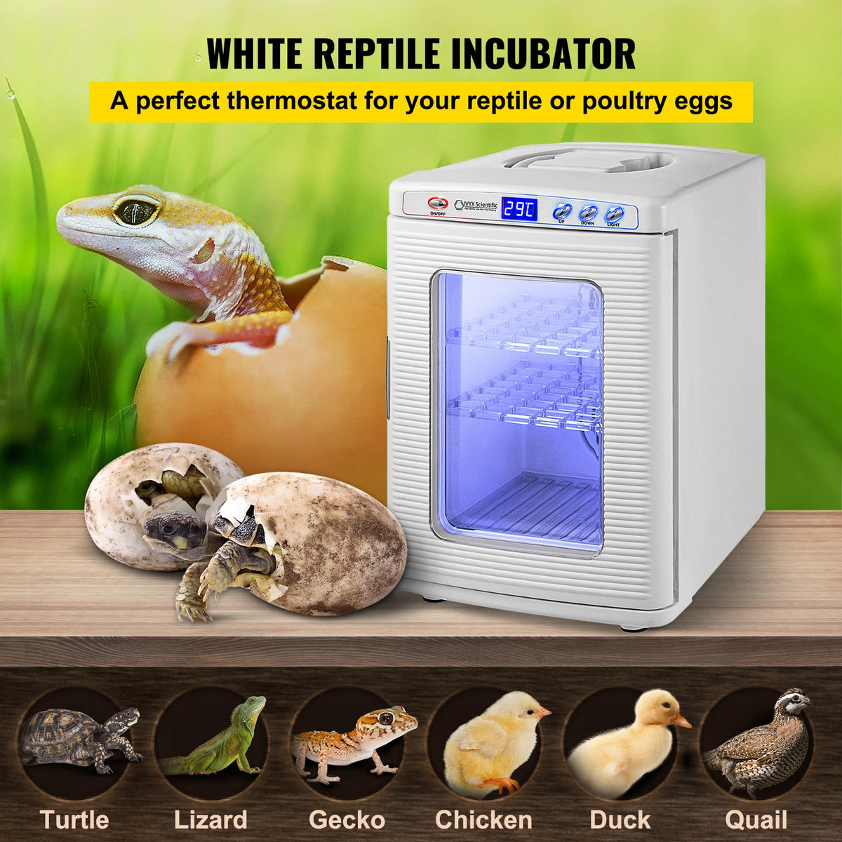 Automatic Reptile Egg Incubator For Turtle And Snake Breeding Hatchery