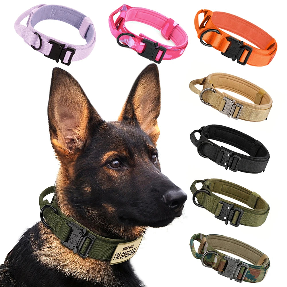 Adjustable Nylon Dog Collar And Leash Set With Quick Release Buckle