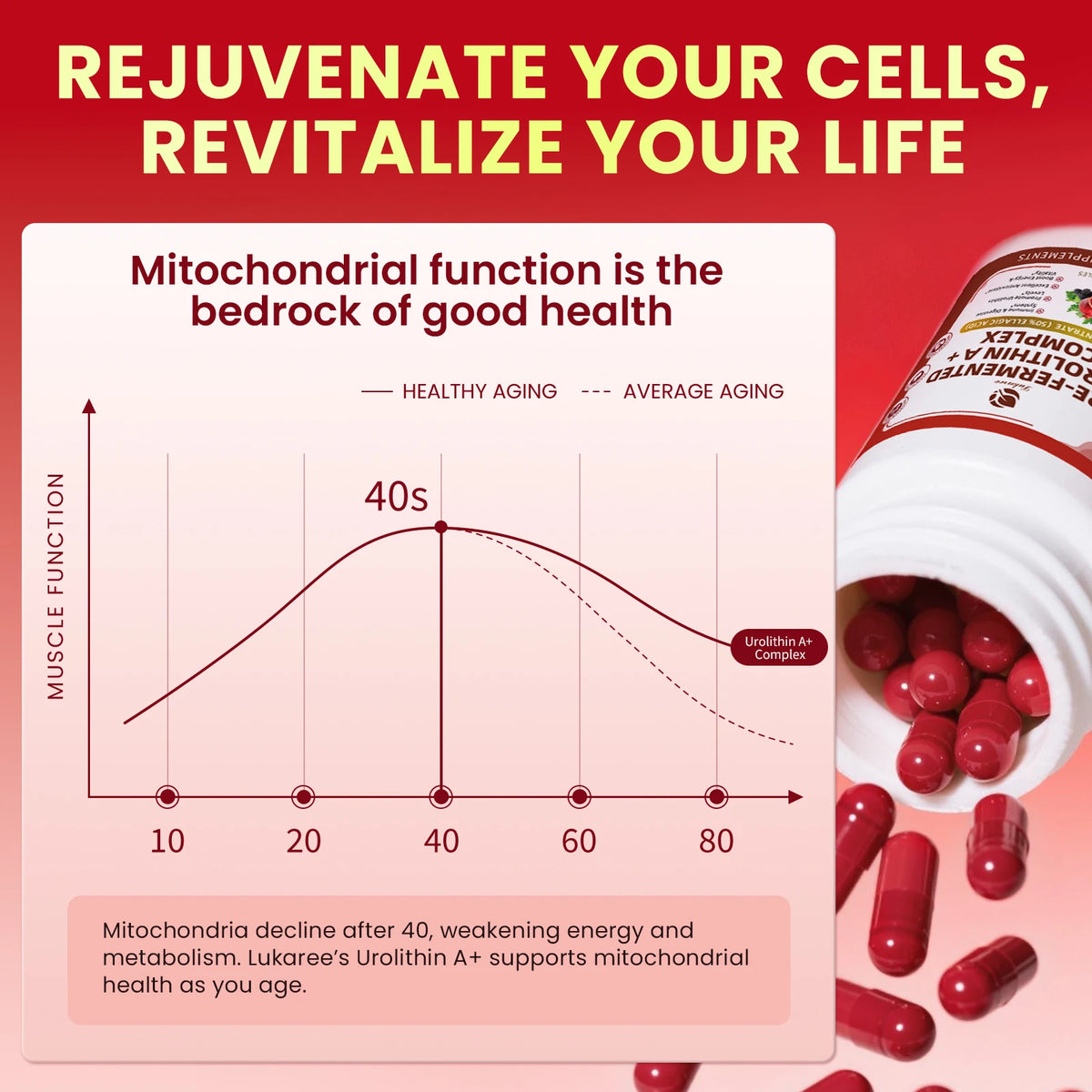 Beworths Urolithin A Complex Blend Cellular Health Supplement