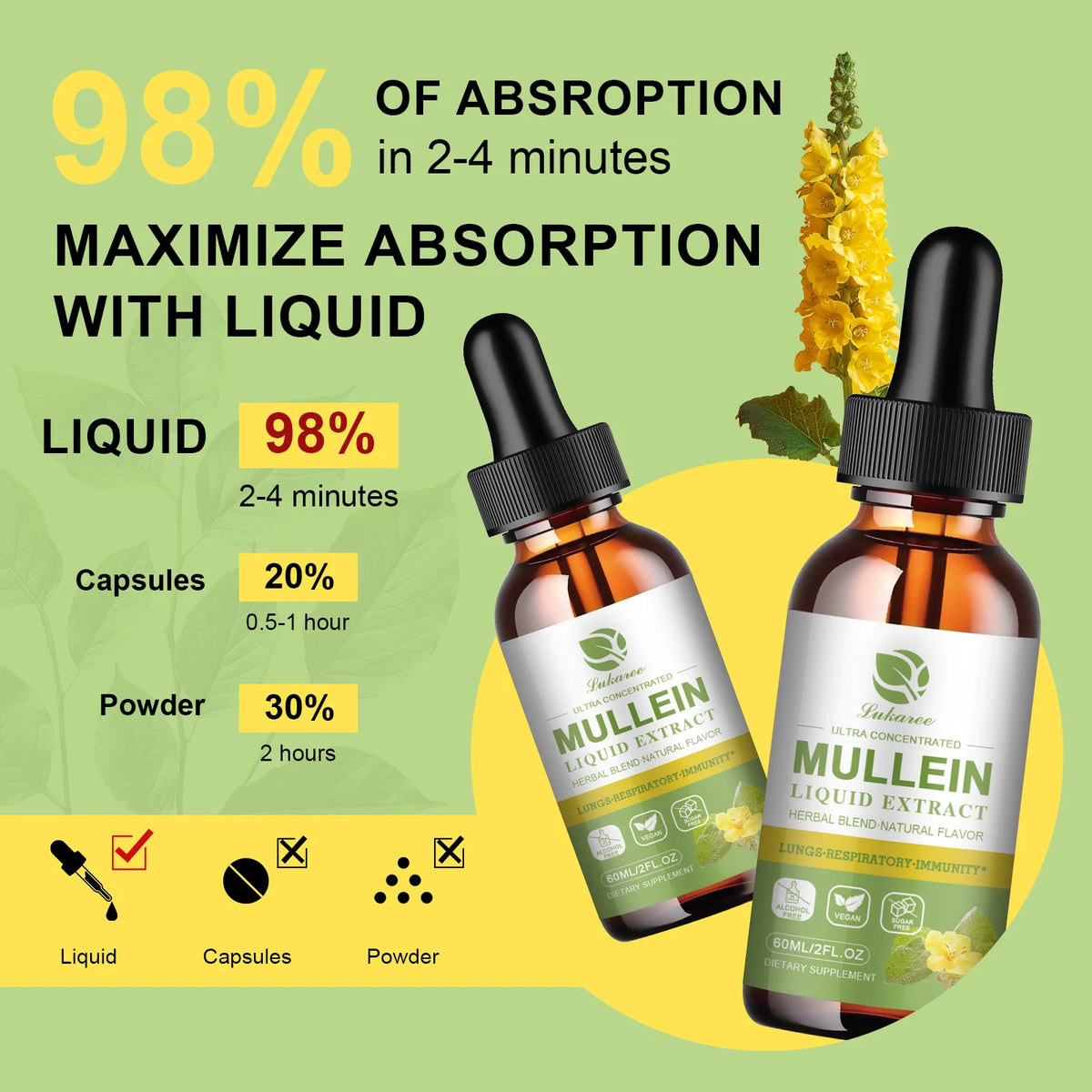 Beworths Mullein Elderberry Drops For Lung Support And Cleansing