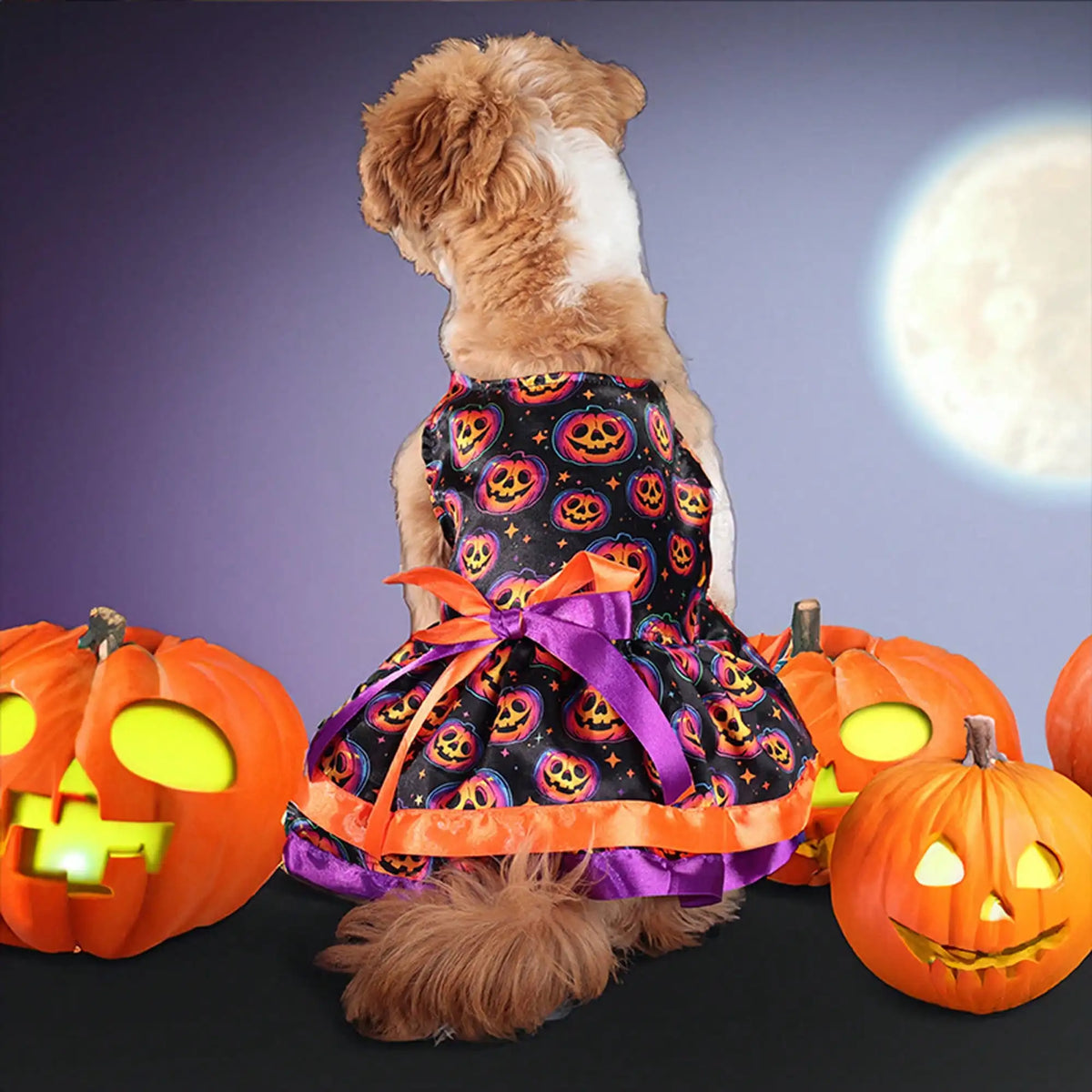 Funny Pumpkin Skull Print Halloween Dog Dress With Bowknot