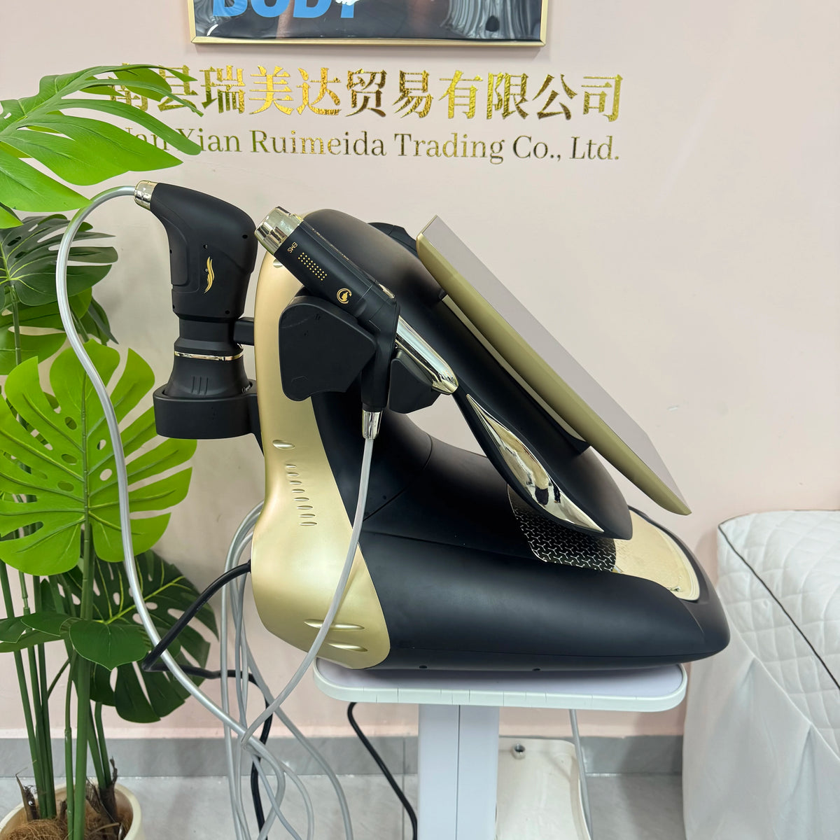 Portable RF Lift Machine For Facial And Body Skin Rejuvenation