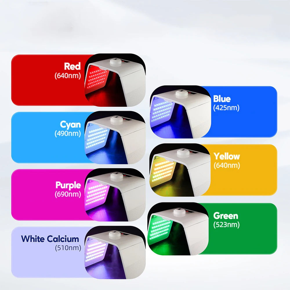 Foreverlily Folding Led Photon Facial Beauty Machine With Nano Spray