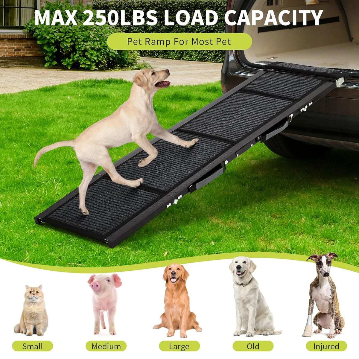 HiMiss Portable Folding Pet Ramp For Cars With Grip