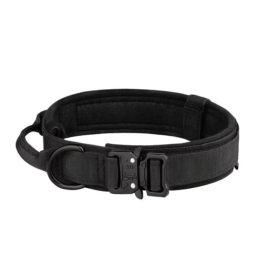 Adjustable Nylon Dog Collar And Leash Set With Quick Release Buckle