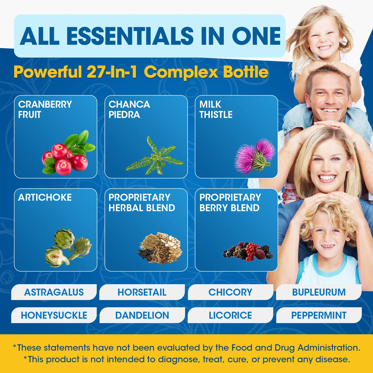 Minch Milk Thistle Artichoke Liver Support Health Drops