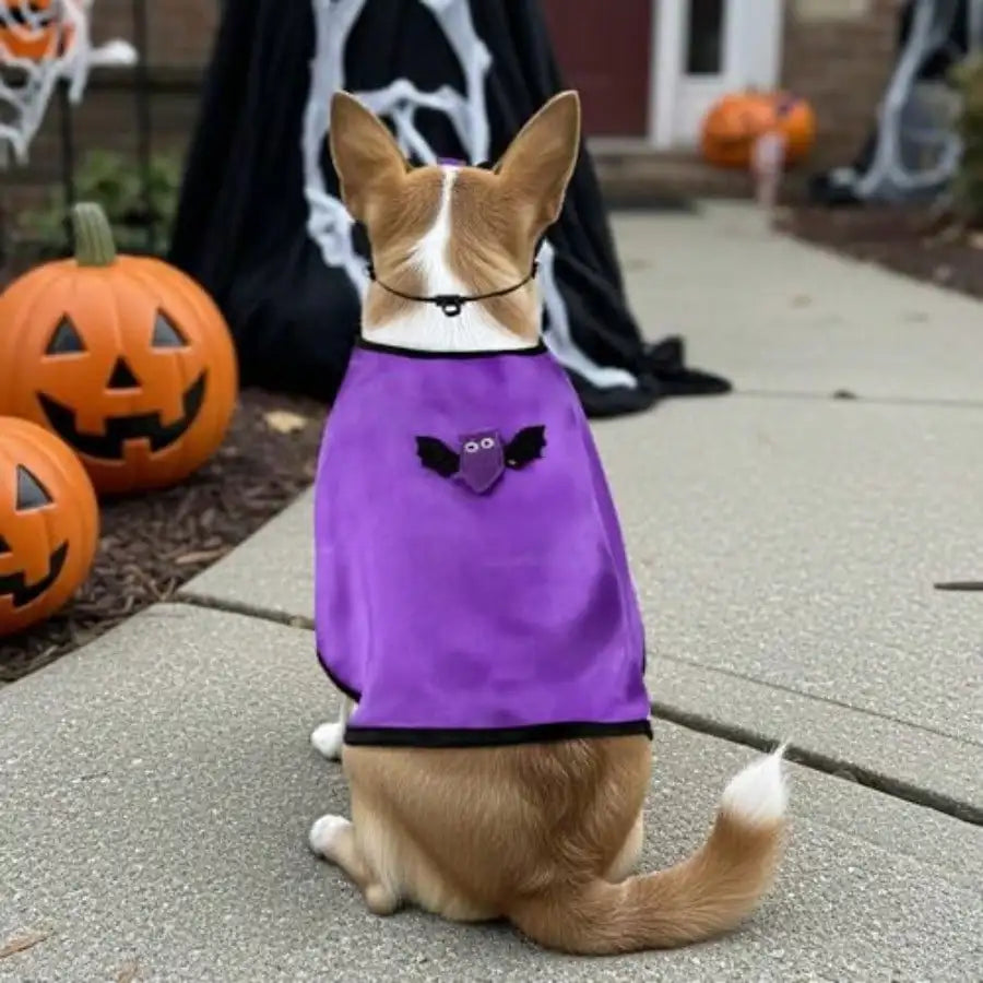 Vampire Cloak Costume With Bat Mask for Dogs and Cats