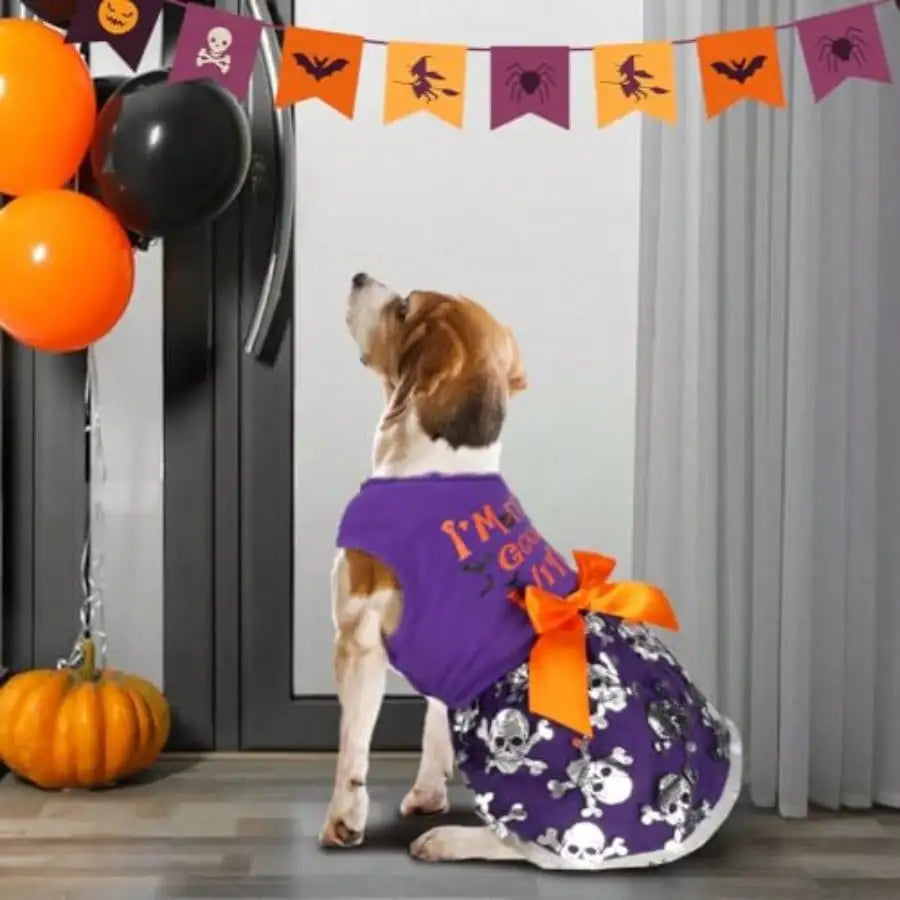 Funny Dog Halloween Witch Dress Costume With Bow For Pets