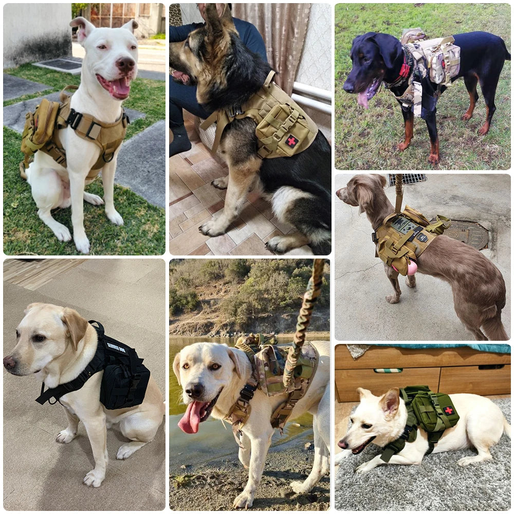 Tactical Nylon Dog Harness And Leash Set For Active Pets