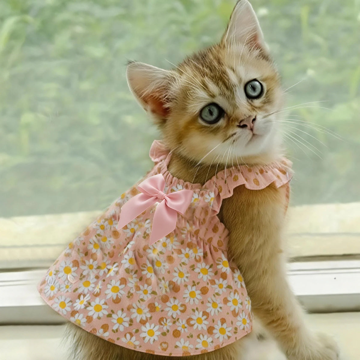 Romantic Floral Pet Dress For Small Dogs And Cats Clothing