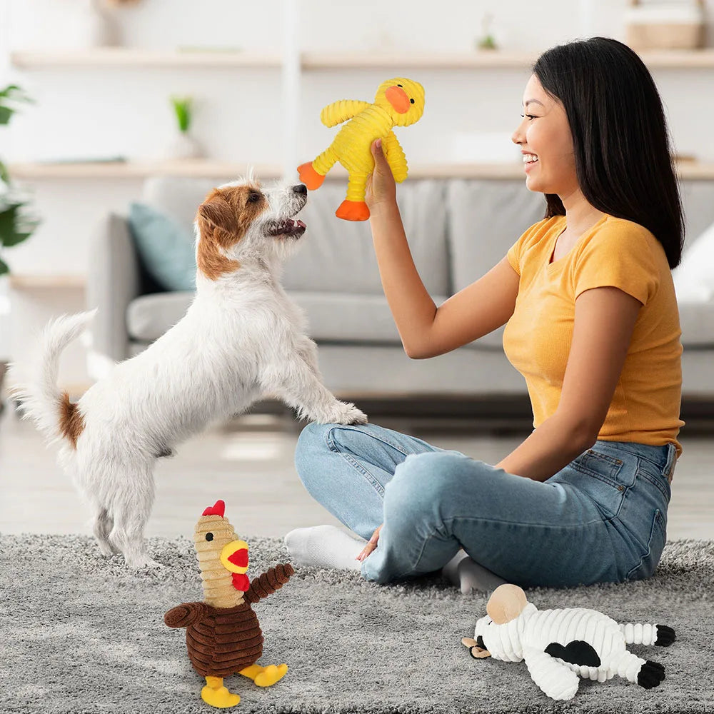 Five Pack Plush Squeaky Dog Toys Assorted Animal Pet Chews