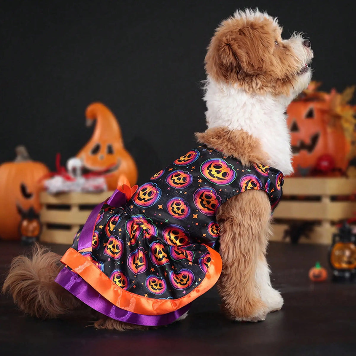 Funny Pumpkin Skull Print Halloween Dog Dress With Bowknot