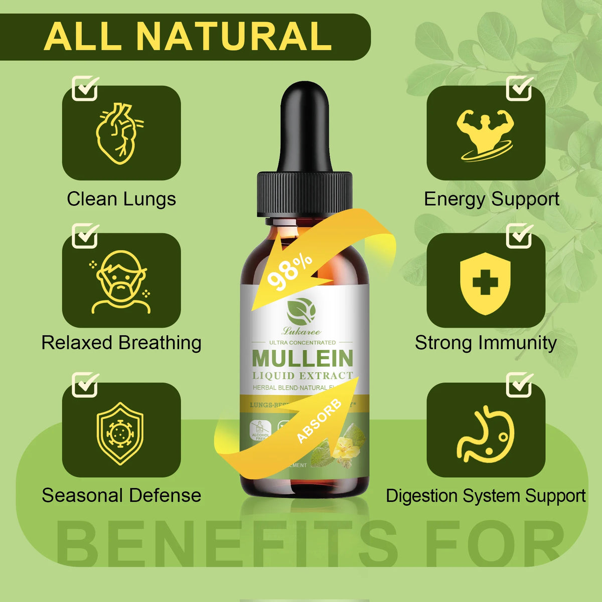 Beworths Mullein Elderberry Drops For Lung Support And Cleansing
