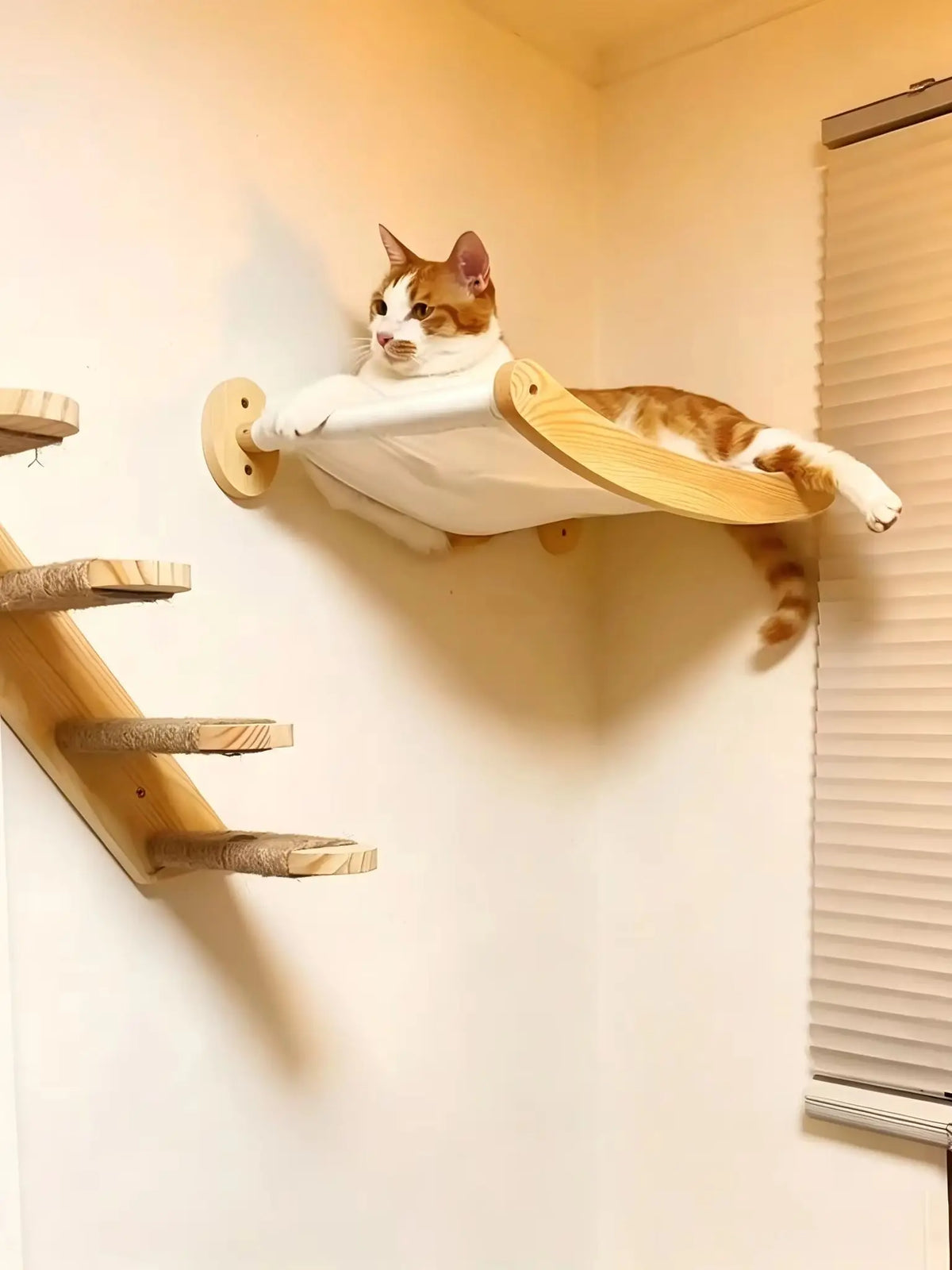 Indoor Wall Mounted Cat Roped Bridge With Sisal Steps
